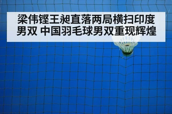 badminton net play