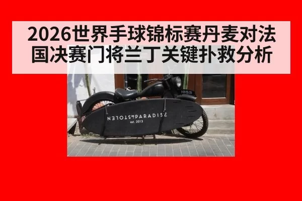 2026世界手球锦标赛丹麦对法国决赛门将兰丁关键扑救分析